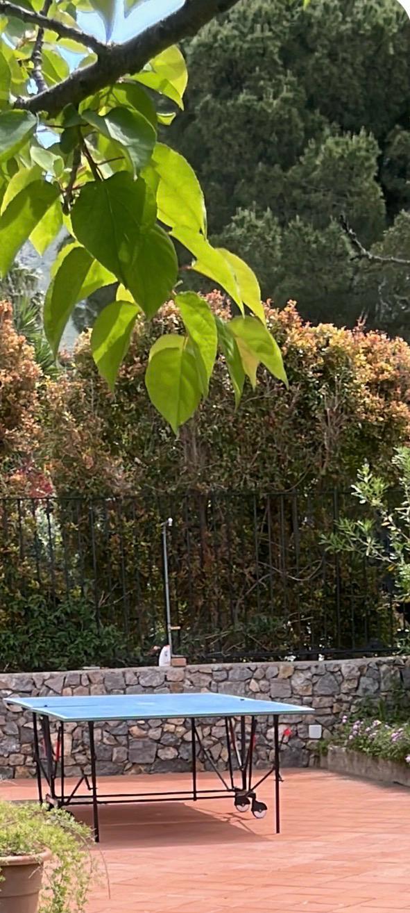 Ping pong table in the garden of Villa Lisa